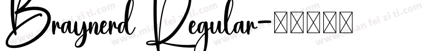 Braynerd Regular字体转换